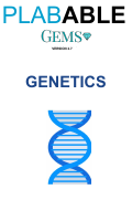 19- GENETICS.pdf